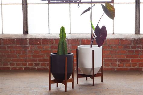 Case Study Ceramic Hex Wood Stand By Modernica Plant Stand Indoor