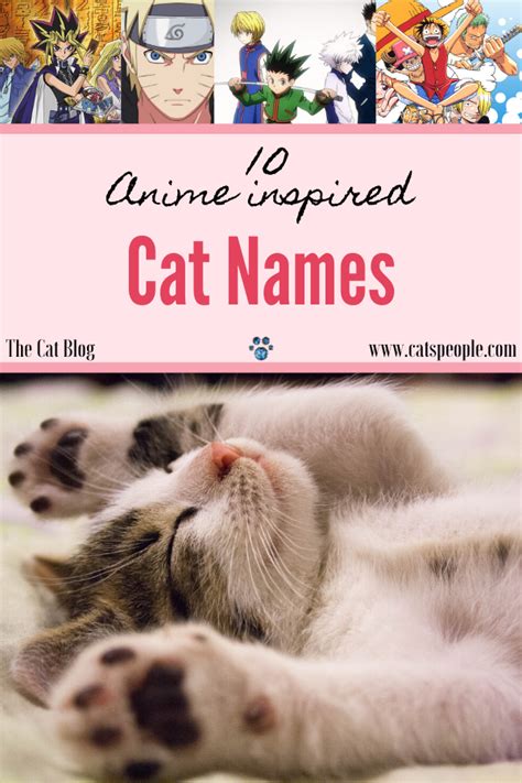 A famous name for cat this name is taken from the classic film called pinnochi. 10 Anime Inspired Cat Names in 2020 (With images) | Cat ...