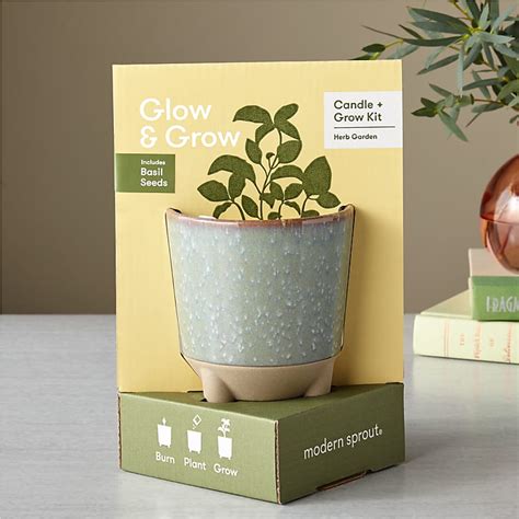 Glow And Grow Herb Garden