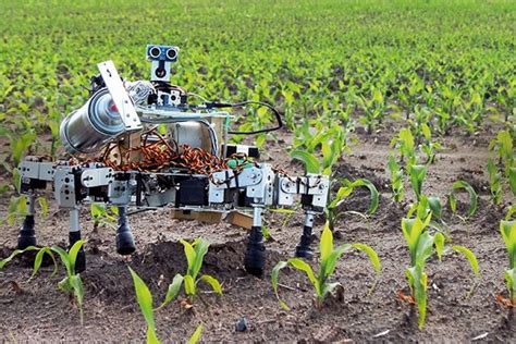 Iot For Agriculture Fms