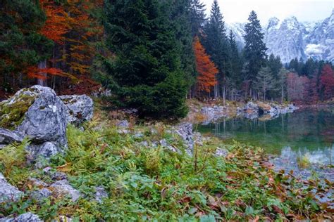 Beautiful Lago Di Fusine Mountain Lake In Autumn And Mangart Mou