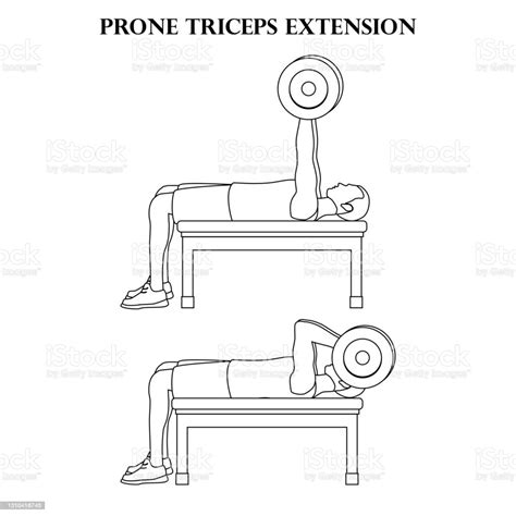 Gevoelige Triceps Uitbreiding Oefening Kracht Training Vector Illustratie Overzicht