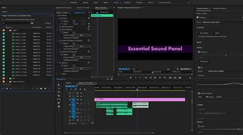 How To Mix Audio With The Adobe Premiere Pro Essential Sound Panel