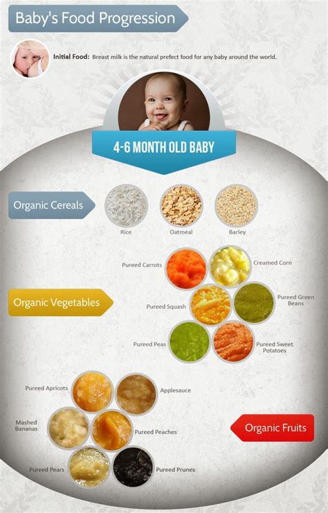 Baby Food 5 6 Months Old Baby Food Recipes Baby Food 5 Months