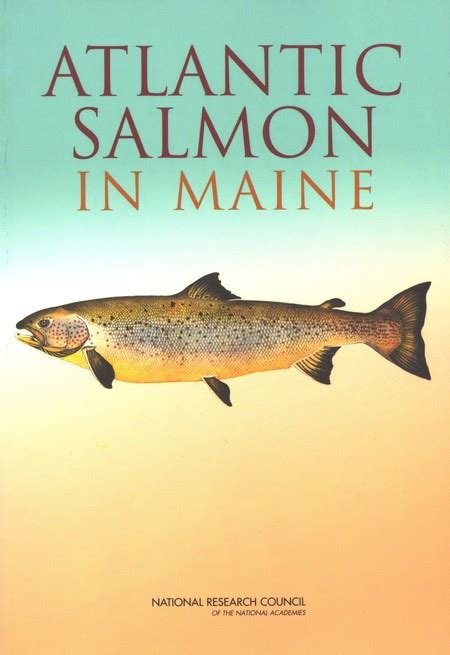 Atlantic Salmon In Maine The National Academies Press