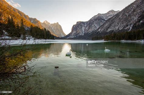 Landscape Of The Lake Dobbiaco In Winter Alta Val Pusteria Trentino