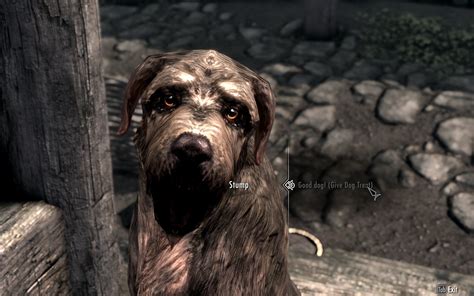 Feed The Animals At Skyrim Nexus Mods And Community