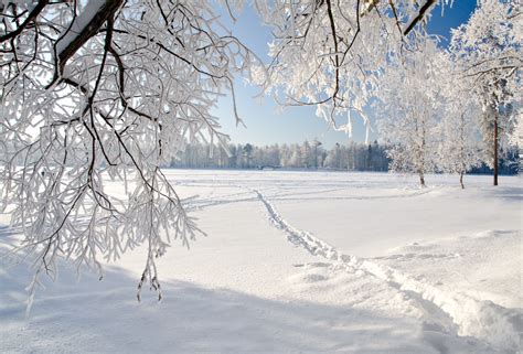 Bilder von Weg Natur Winter Schnee Ast Jahreszeiten 3000x2034