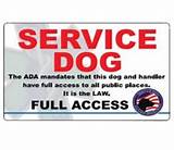 Images of Printable Service Dog Id Cards
