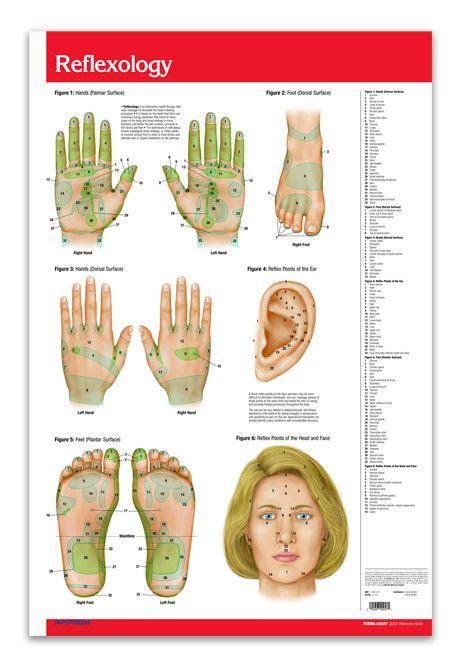 Acupuncture Points Poster Reflexology Medical Poster Quick