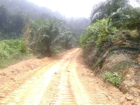 Check spelling or type a new query. Surat Permohonan Kerja Ladang - Dirumahmalay