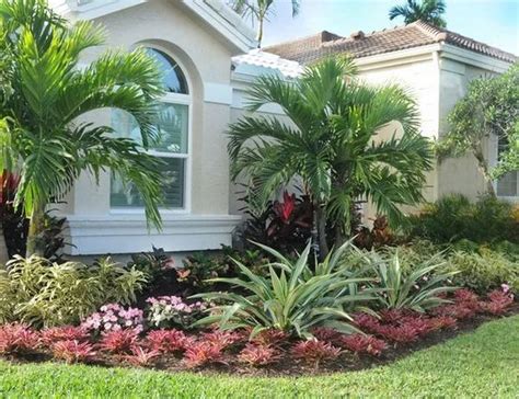 Landscaping In Front Of Low Windows Florida Google Search Florida