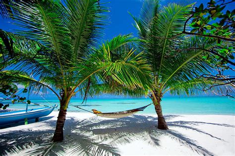 Tropical Rest Rest Exotic View Ocean Relax Bonito Hammock Palms