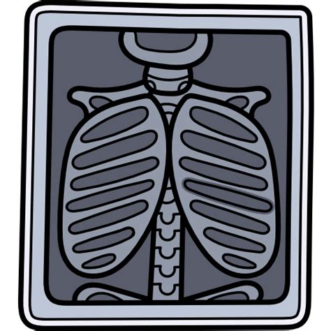 Chest X Ray Clipart