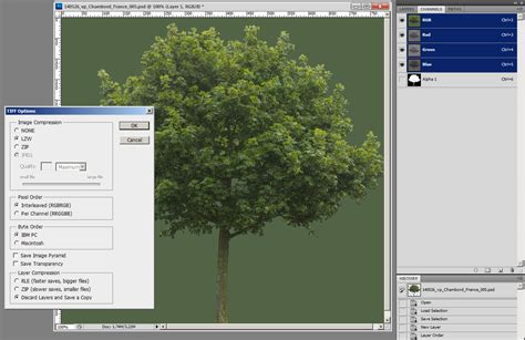 A Very Quick Forest Tutorial Gobotree Learning Station