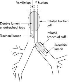 Drager apollo anesthesia machine manual