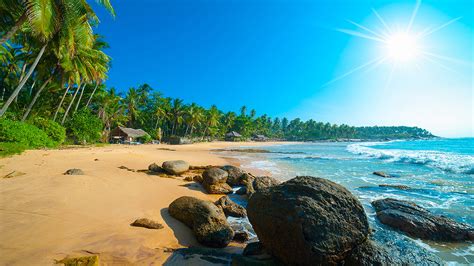 Tropical Beach In Sri Lanka Bay On Island Curieuse Sunset Wallpaper Hd