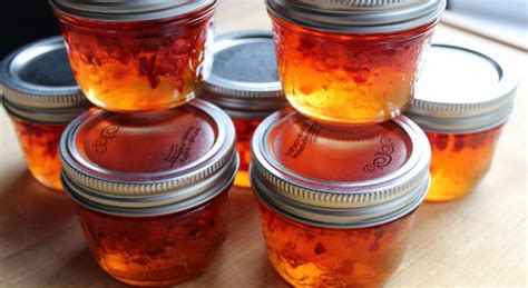 Now i have some smallish red jalapeños homegrown how many do you think i would need to use instead of habaneros? Powdered vs. Liquid Pectin - What's the difference and can ...