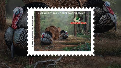Nra Women Mossy Oak Launches Inaugural Wild Turkey Stamp