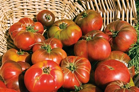 Heirloom Tomatoes Nuvo