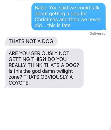 Woman Convinces Husband Shes ‘adopted A Coyote Hilarity Ensues Breakup Humor Funny Texts