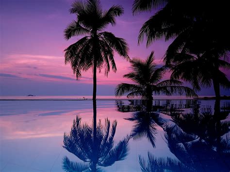 3072x1920px Free Download Hd Wallpaper Landscape Tropical Purple