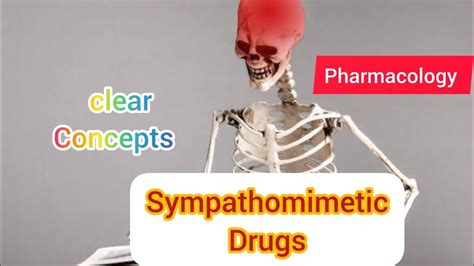 Sympathomimetic Drugs Iv Pharmacology Youtube