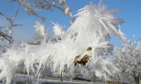 Rime Ice Get To Know The Granular Crystals That Grace Mountain