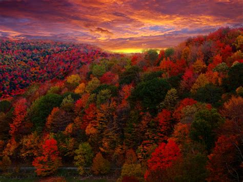 Fall Foliage Photography Flickr Photo Sharing