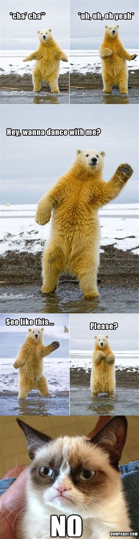 Grumpy Cat Dancing With Polar Bear Funny Pictures Dump