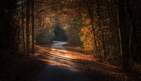 Autumn Path By Aleš Krivec On 500px Country Roads Photo Paths