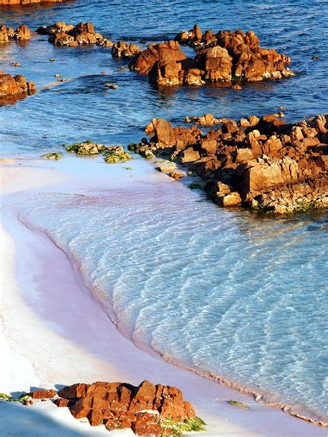 Pink Beach Sardinia Italy Pixohub