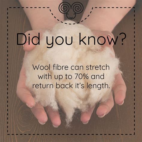 The Wool Fiber Can Be Stretched Up To 70 Of Its Natural Length And