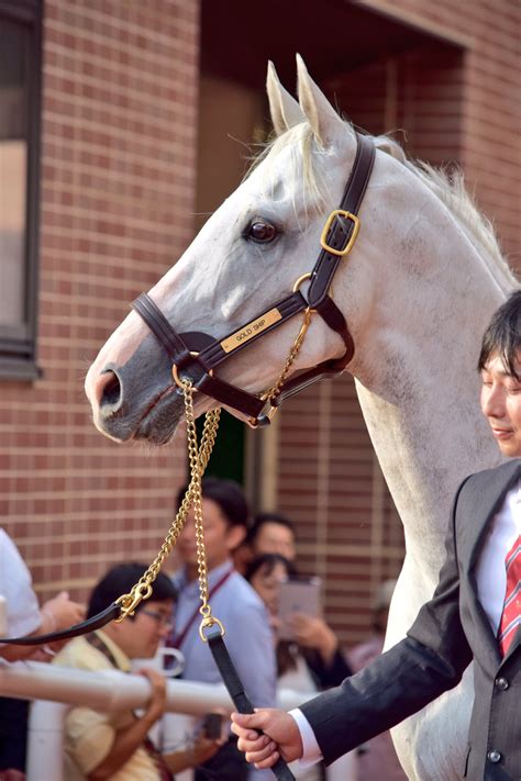 ワンミ。 チュウミ。 コンミ。 の5にん組。 三輪車で爆走する「ブンブンドライブ」が大好き。 G1競馬レースで優勝を果たした名馬のかっこいい高画質画像 ...