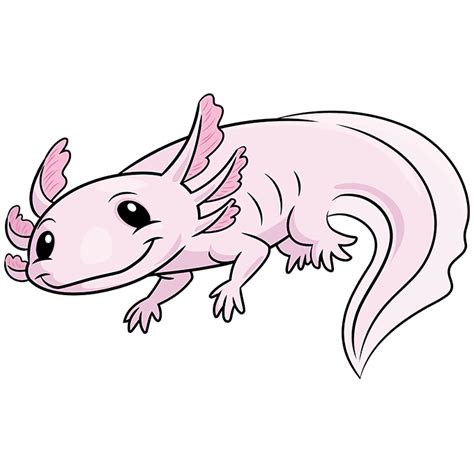 How To Draw An Axolotl Really Easy Drawing Tutorial