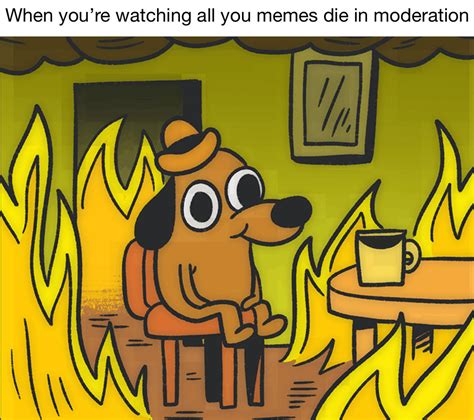 Everything Is On Fire Meme Subido Por Dragonfire65 Memedroid