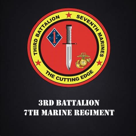 3rd Battalion 7th Marine Regiment Realism Unit Youtube