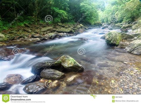 A Rapid Stream Flowing Through A Mysterious Forest Of Lush Greenery