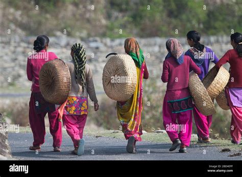 The Image Of Local Village Ladies In Sitlakhet Almora In Kumaon Uttaranchal India Asia Stock