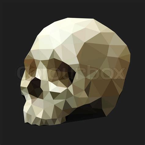 Human Skull In A Triangular Style On Stock Photo Colourbox