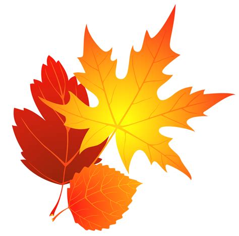 Transparent Fall Leaves Clipart Png Download 994985 Free