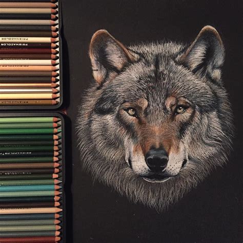 Instagram Photo By Kathrin Schwarz • Mar 26 2016 At 5 37pm Utc Color Pencil Art Color Pencil