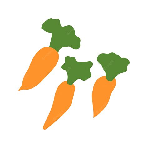 Premium Vector Three Carrots With Leaves In Bright Color Vector Drawing