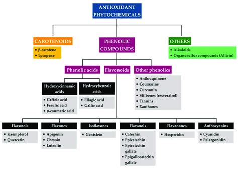 classification of antioxidant phytochemicals depending on their download scientific diagram