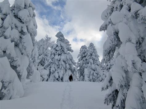 Snowshoeing In A Couple Years Ago In Aomori Japan One Of The Snowiest