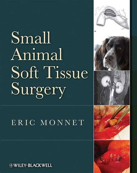 Small Animal Soft Tissue Surgery 2nd Edition