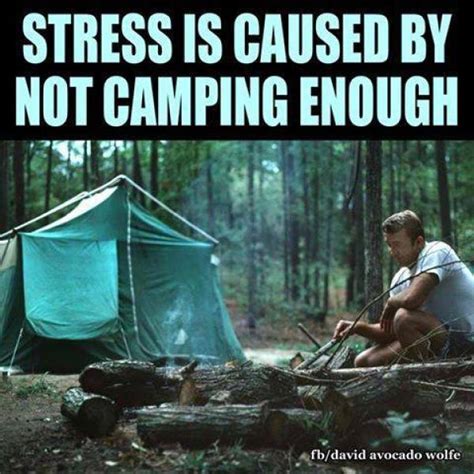 56 camping memes that will make you want to go camping