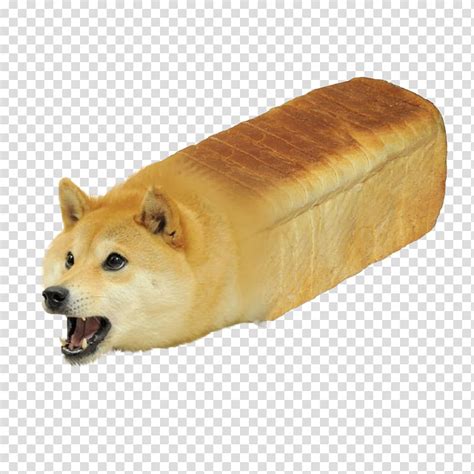 Shiba Inu Doge Youtube Bread Transparent Background Png Clipart