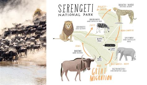 Serengeti National Park Africas Most Iconic Wildlife Reserve