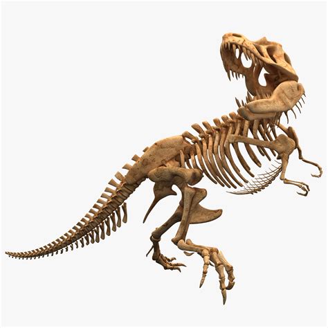 dinosaur t rex bones skeleton lwo